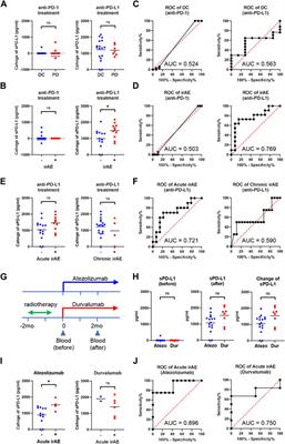Lysosomal degradation of PD-L1 is associated with immune-related adverse events during anti-PD-L1 immunotherapy in NSCLC patients